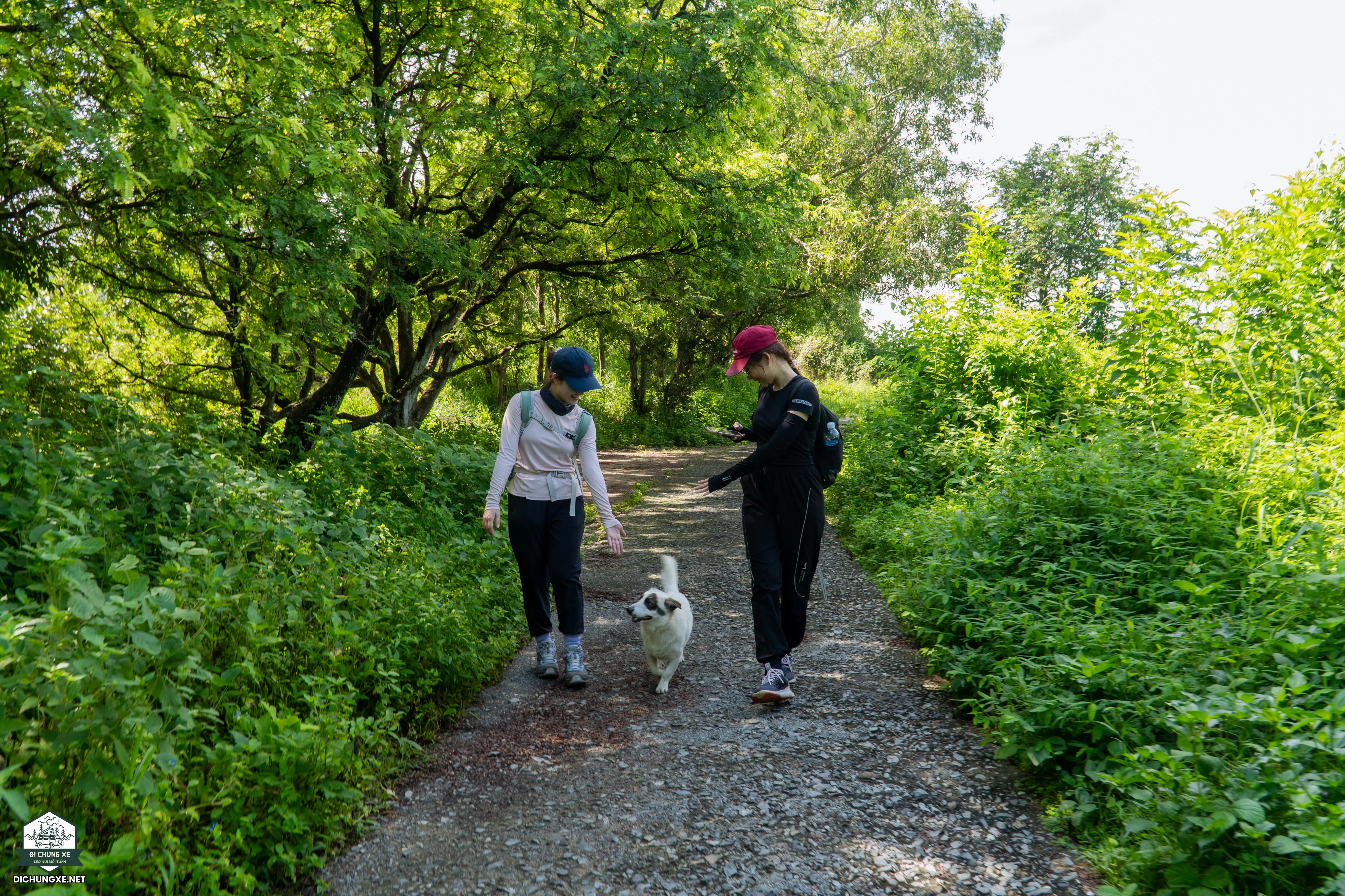 Núi Tương Kỳ - ngọn núi giữa phố biển